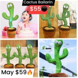 Cactus bailarin