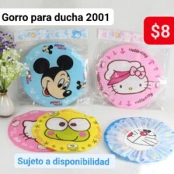 Gorro para ducha 2001