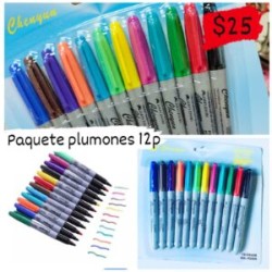 Paquete plumones 12p